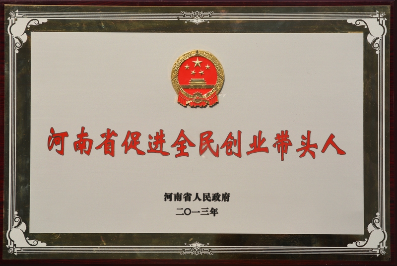 河南省促进全民创业带头人